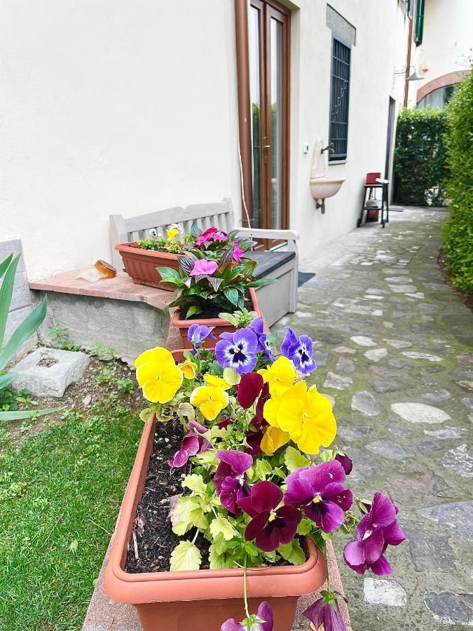Dalu Florence Apartment Davide - Private Car Park 15 Minutes To The City Center Экстерьер фото