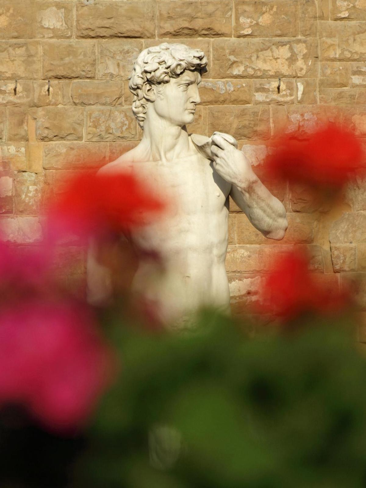 Dalu Florence Apartment Davide - Private Car Park 15 Minutes To The City Center Экстерьер фото