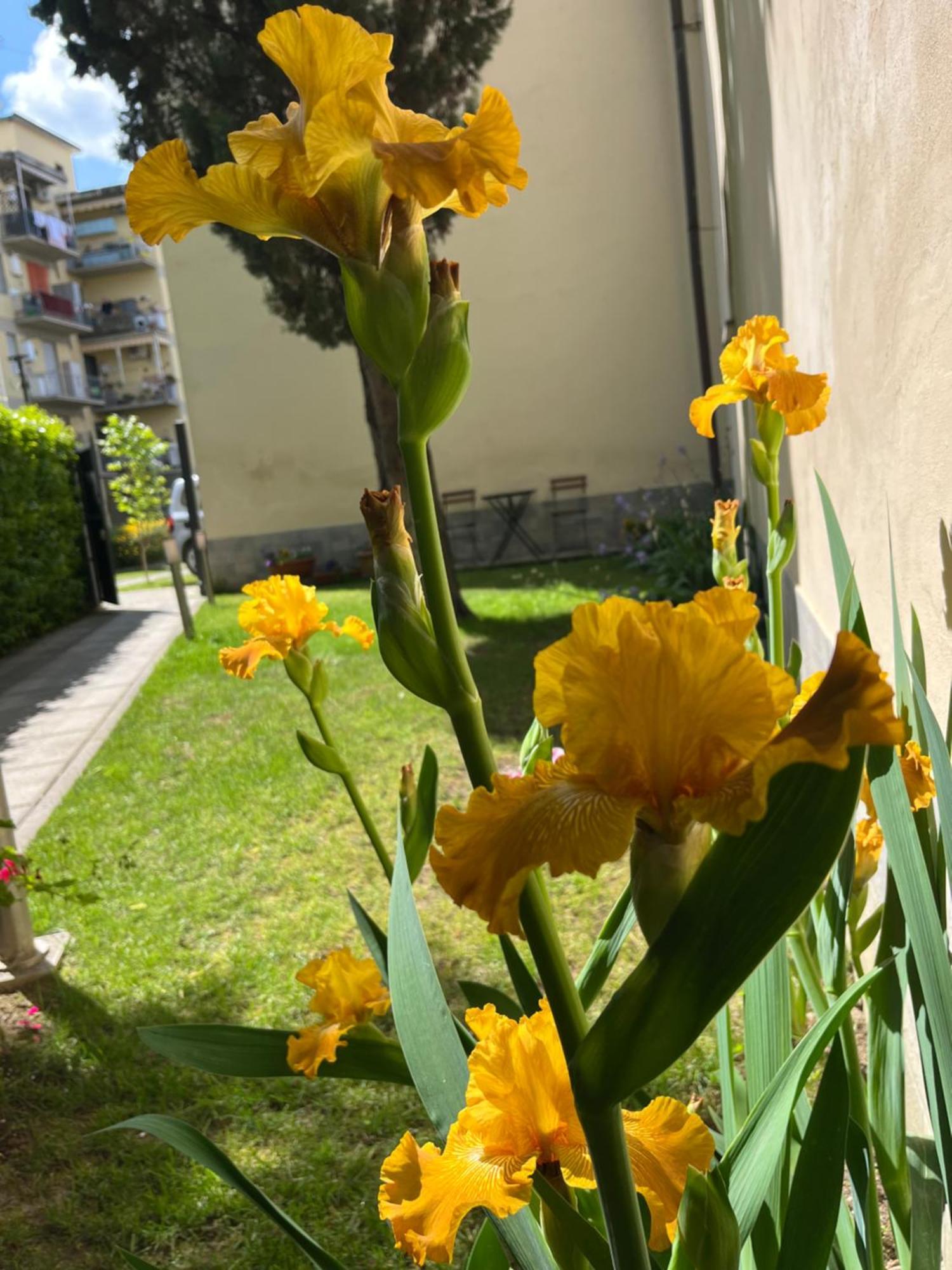 Dalu Florence Apartment Davide - Private Car Park 15 Minutes To The City Center Экстерьер фото